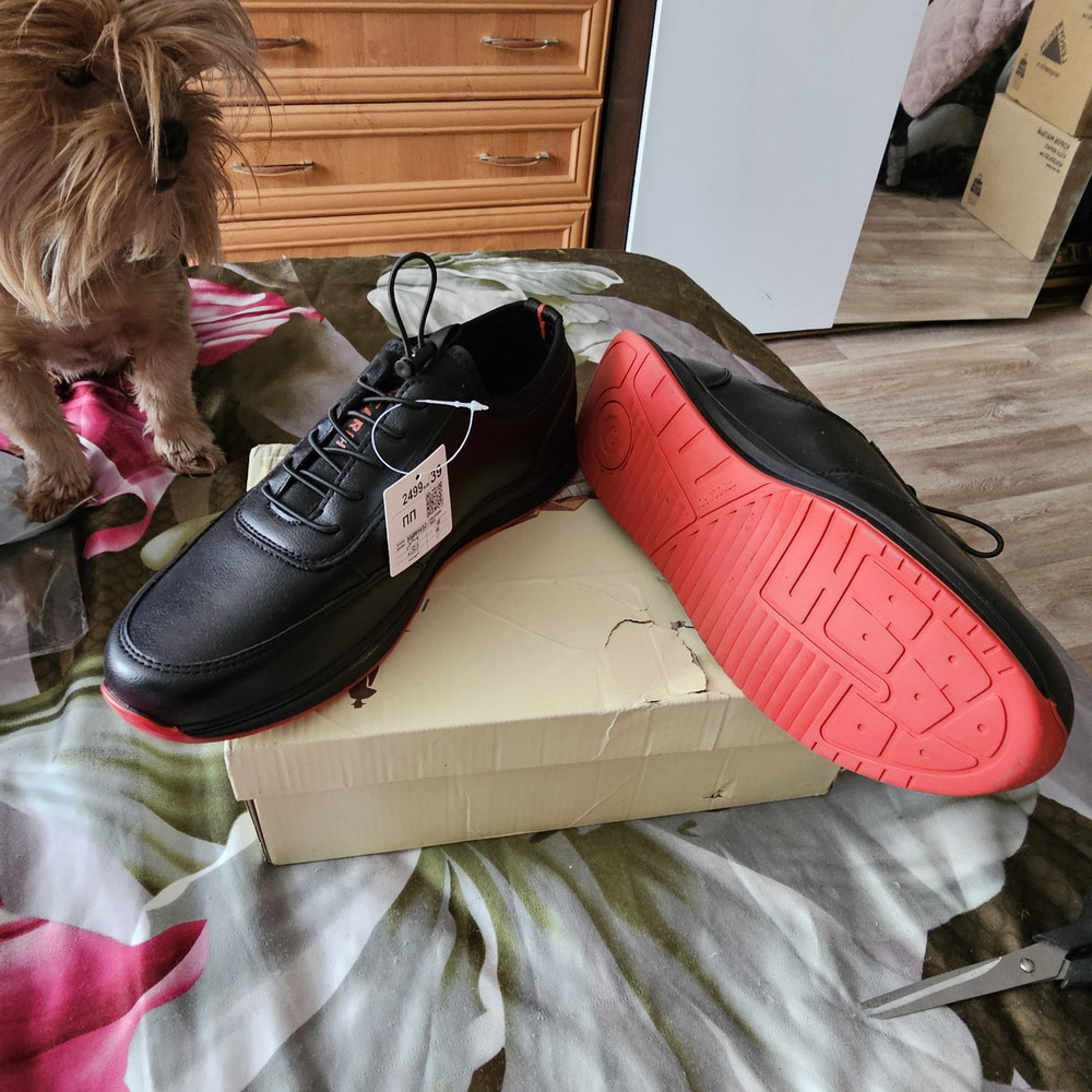 review