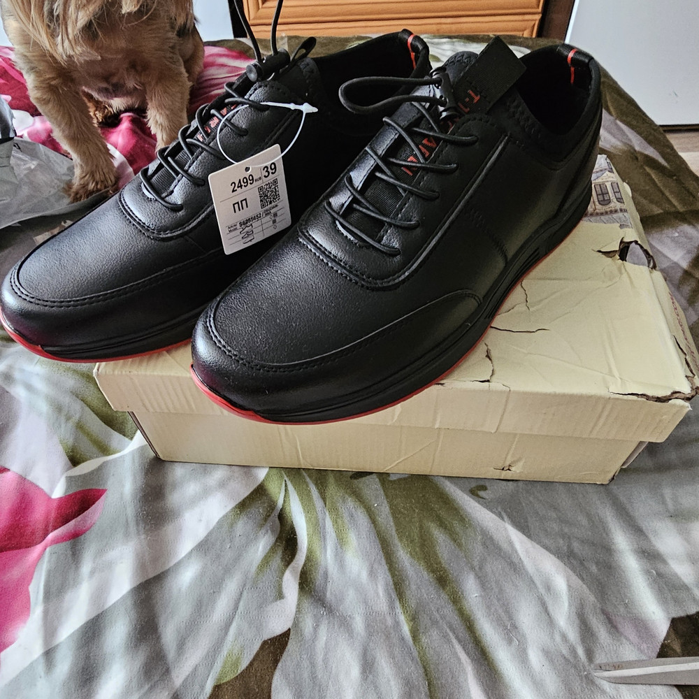 review