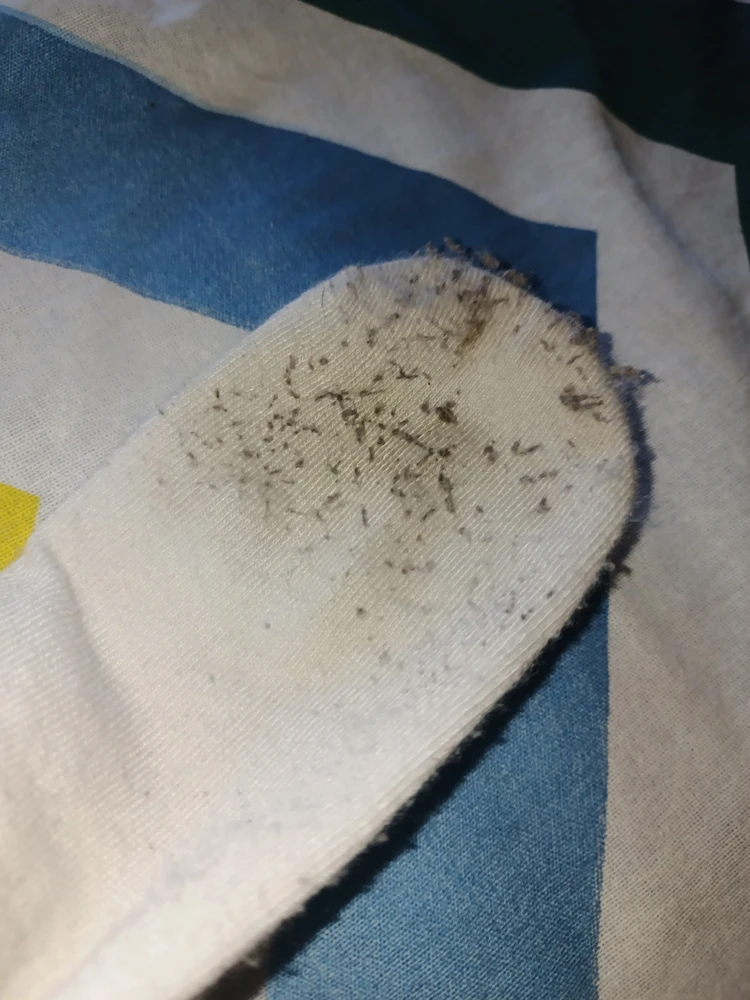 Ужас слишком тонкие