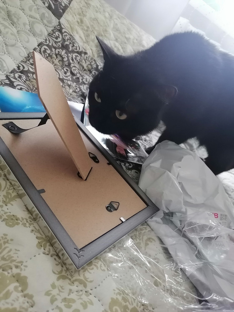 review